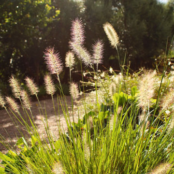 CRESTATX GARDEN DESIGN