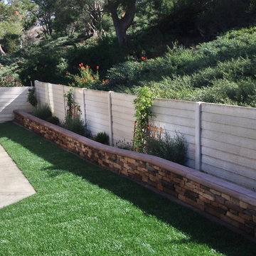 Laguna Niguel Back and Side Yard