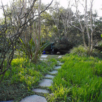 Koi Pond