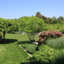 side landscape