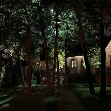 Moonlighting Effect (Tree Lighting)