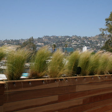 Roof deck & planter boxes/Landscaping.