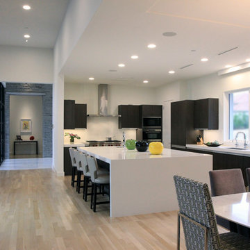 Art Gallery Inspired Residence