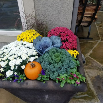 Fall Pots