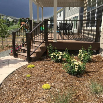 Watching a Xeriscape Grow