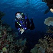 Robyn Reed's photo