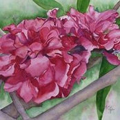 Kathy Marler's photo