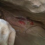 Chris Dayani's photo