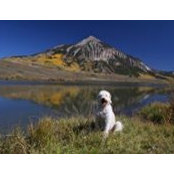 Jeff Sirota's photo