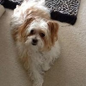 Brian Albright's photo