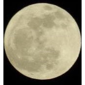 Rob Waibel's photo