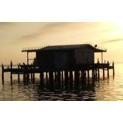 Joe Speziale's photo