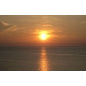 Arlene Wiliams's photo
