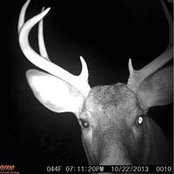 Leah Goodrich's photo