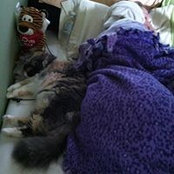 Foto de Ashley Batterbee
