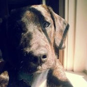 Eric Reifsnyder's photo