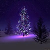 Amy Hall's photo