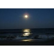 Lynn McAleer's photo