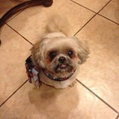 Geraldine Contreras's photo