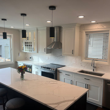 Chicago Kitchen/Dining Renovation
