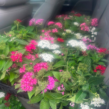 Complete Landscape & Hardscape Enhancement
