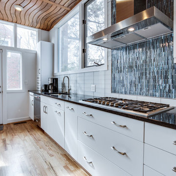 Modern Kitchen Remodel Chevy Chase, MD