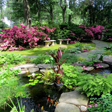 A Pond for the Front Entry