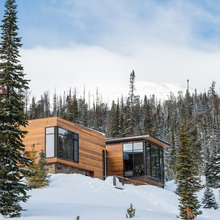Wood house