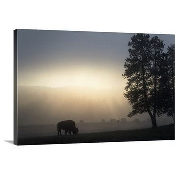 "Bison in Field of Mist" Wrapped Canvas Art Print, 36"x24"x1.5"