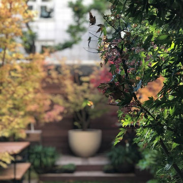 Jardin en RDC à Levallois-Perret