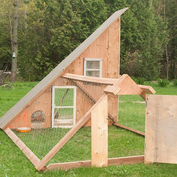 Chicken Coop