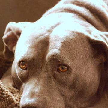 My Houzz: Hickman Home