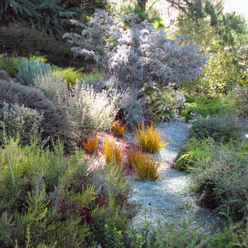 A Mediterranean Hillside Garden