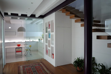 This is an example of a mid-sized contemporary entryway in Other with dark hardwood floors, white walls and brown floor.