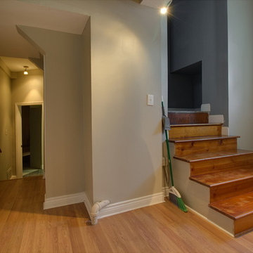 Historic Renovation of Last Remaining Rowhouse Downtown St Louis Mo