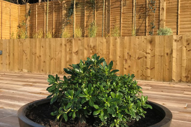 Photo of a small contemporary back formal full sun garden for summer in Kent with a raised bed and decorative stones.