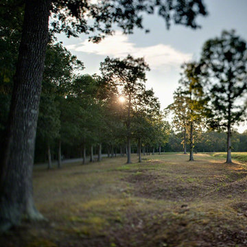 Wilderness Battlefield