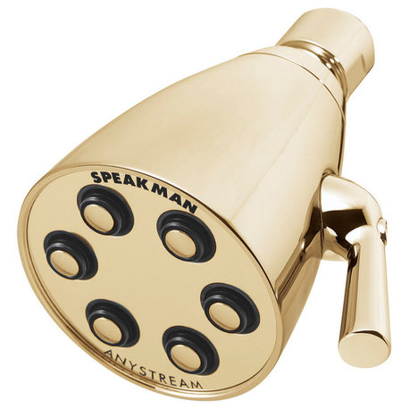 Anystream Icon 6-Jet Showerhead, Polished Brass
