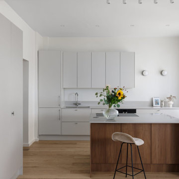 Carol's REBEL Grey Kitchen | Chicago, IL
