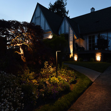 landscape lighting