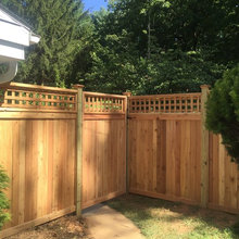 Fence Lattice