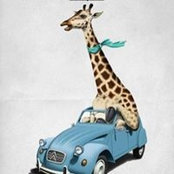 Janet McGlothlin's photo