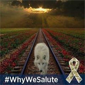 Dustin Wegner's photo