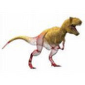 Andre Kruger's photo