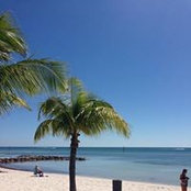 Matt Wresien's photo