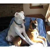 Jeri Eberhardt's photo