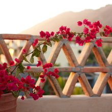 Mediteranean Exterior