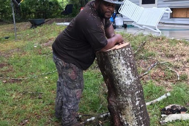 Stump Removal in Jacksonville, FL