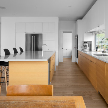 Knox Mountain House
