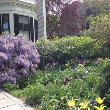 North Cambridge, MA Urban Garden